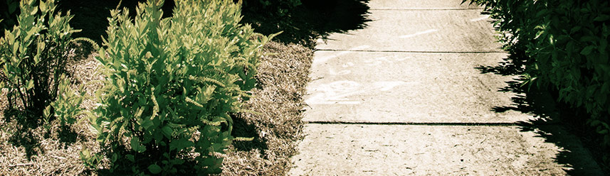 【Windows电脑版】完整安装的ip攻击器网页版ddos